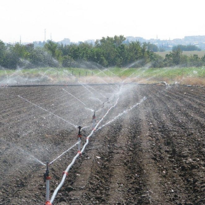 Pipelife-sprinkler-irrigation-field