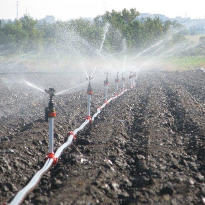 Pipelife-sprinkler-irrigation-field