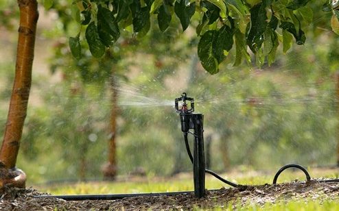 micro sprinklers