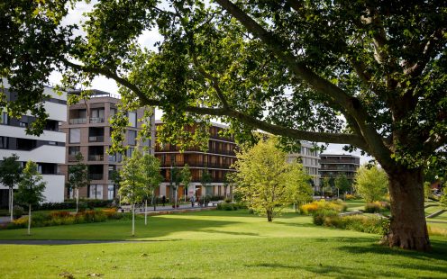 Park with trees surrounding residential houses | Pipelife